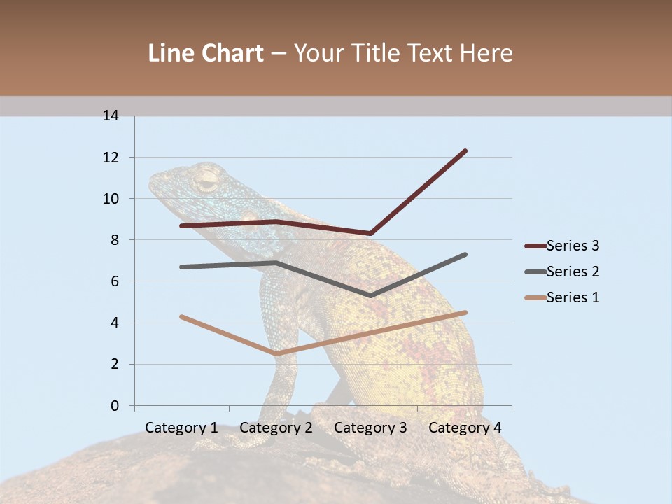 African Male Wild PowerPoint Template