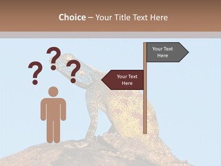 African Male Wild PowerPoint Template