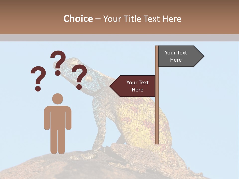 African Male Wild PowerPoint Template