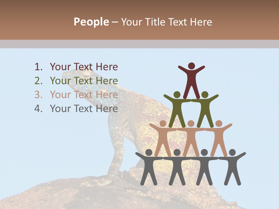 African Male Wild PowerPoint Template