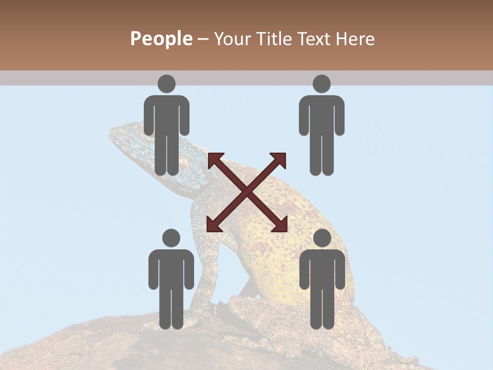 African Male Wild PowerPoint Template