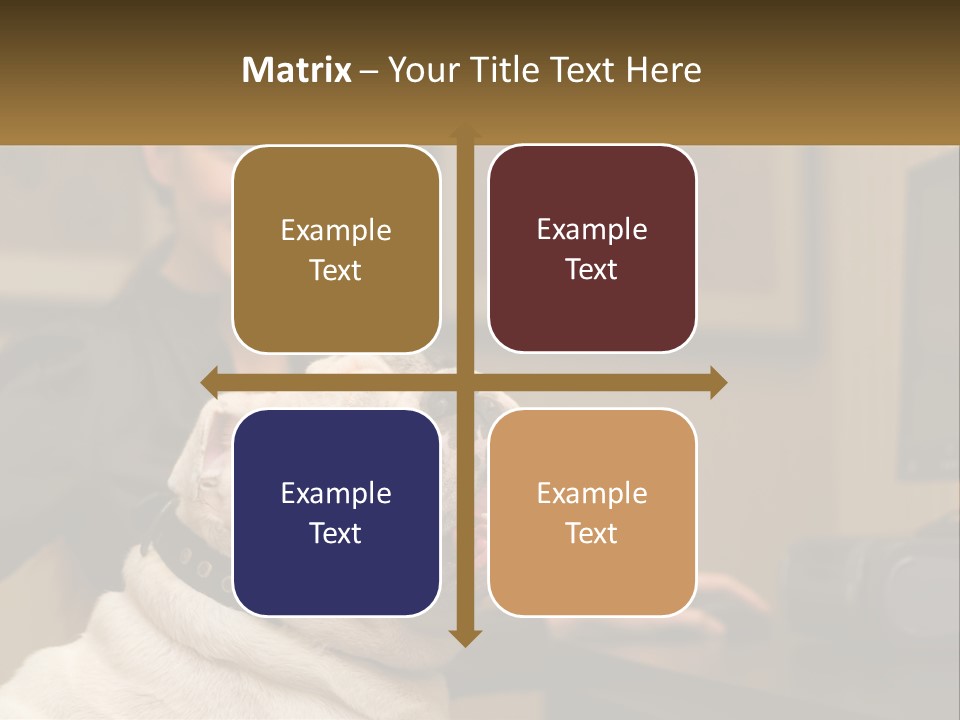 Pet Business Portrait PowerPoint Template