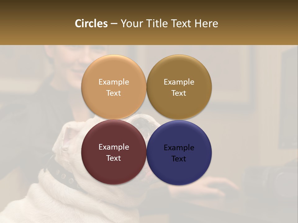 Pet Business Portrait PowerPoint Template