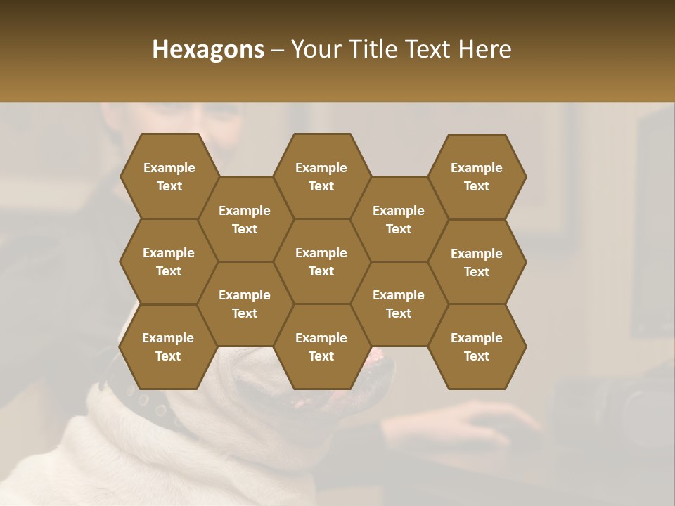 Pet Business Portrait PowerPoint Template