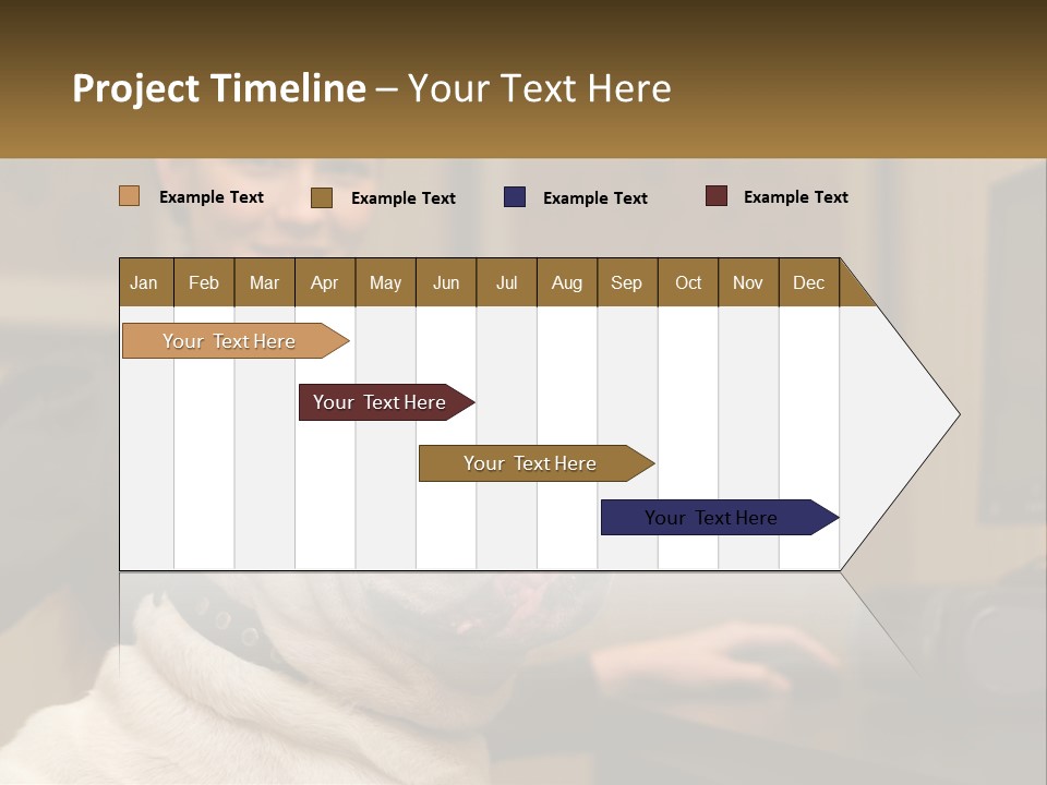 Pet Business Portrait PowerPoint Template