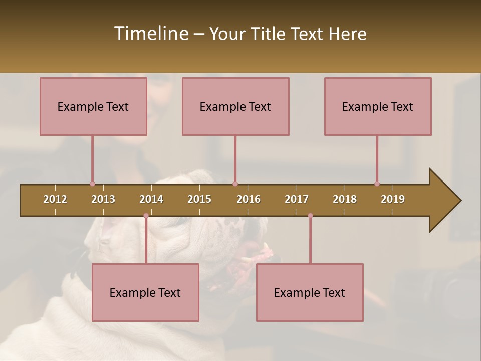 Pet Business Portrait PowerPoint Template