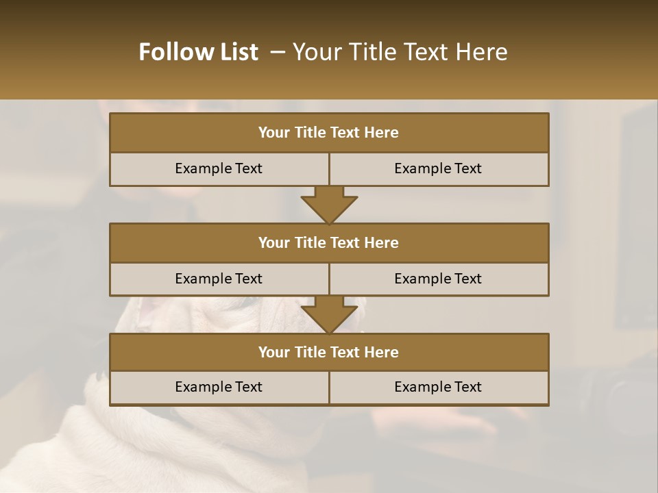 Pet Business Portrait PowerPoint Template