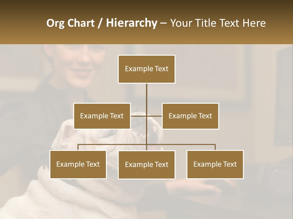 Pet Business Portrait PowerPoint Template