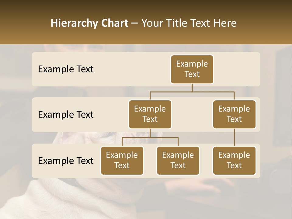 Pet Business Portrait PowerPoint Template