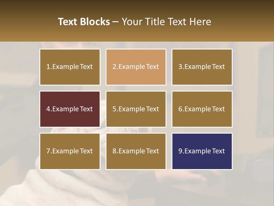 Pet Business Portrait PowerPoint Template