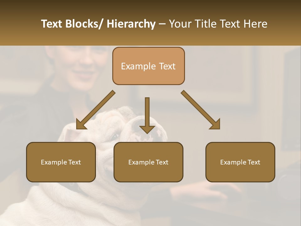 Pet Business Portrait PowerPoint Template