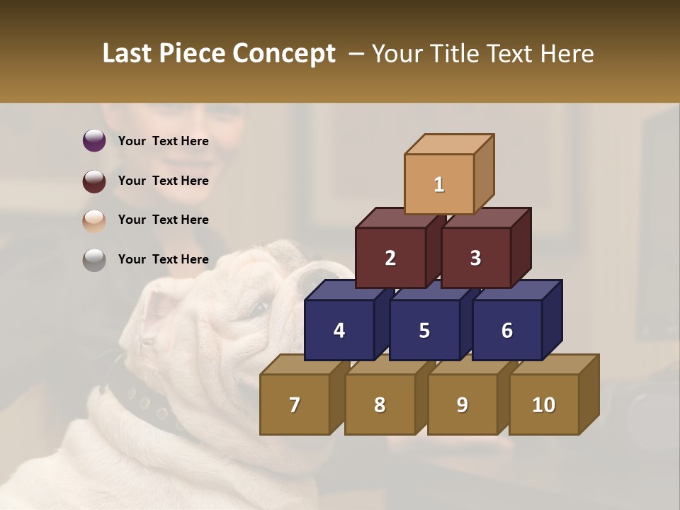 Pet Business Portrait PowerPoint Template