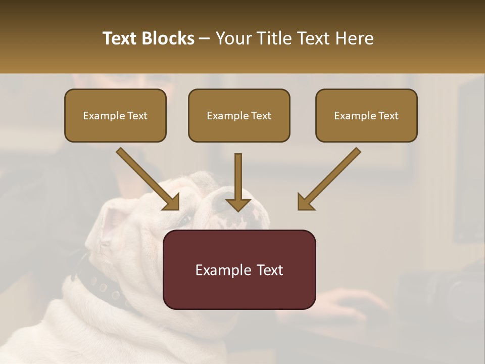 Pet Business Portrait PowerPoint Template