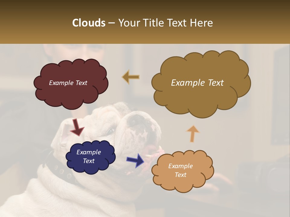 Pet Business Portrait PowerPoint Template