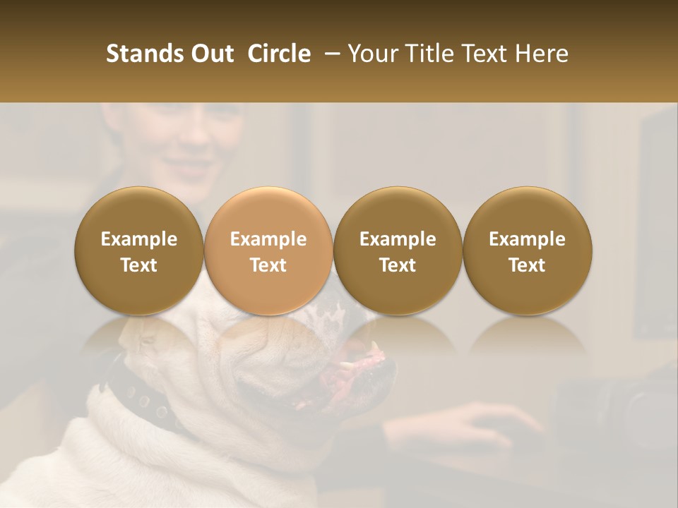 Pet Business Portrait PowerPoint Template