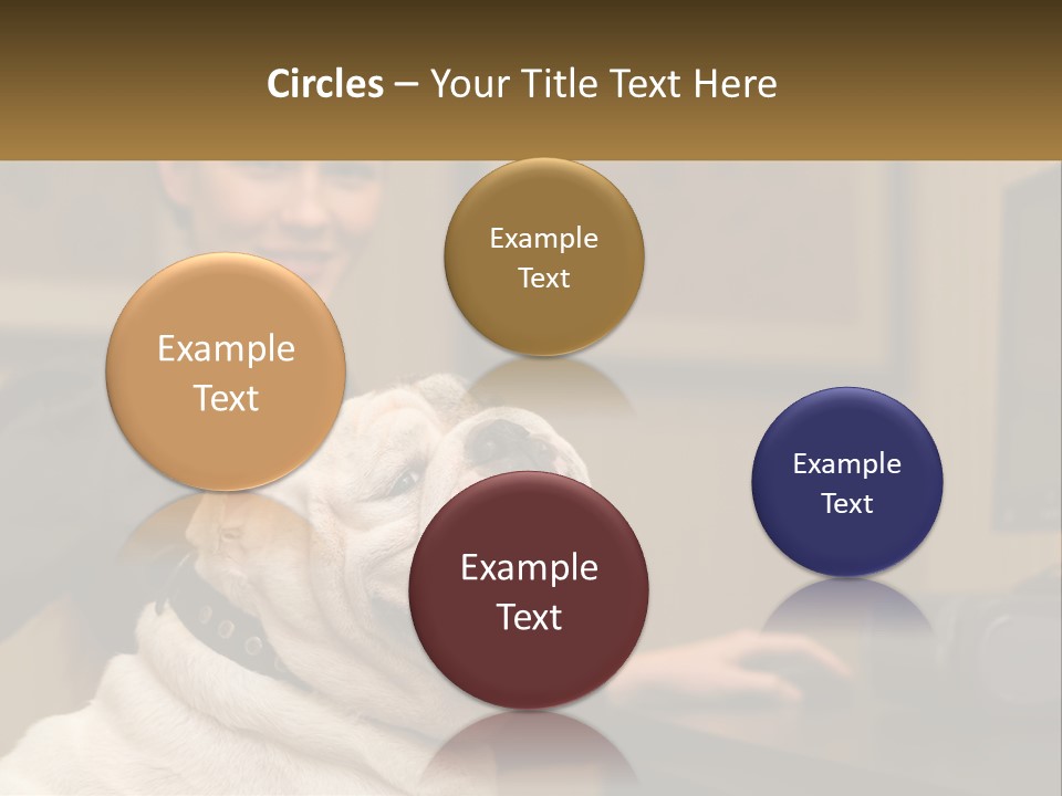 Pet Business Portrait PowerPoint Template