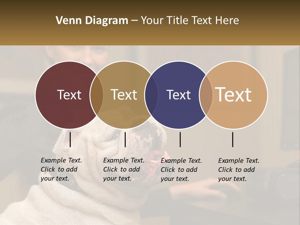 Pet Business Portrait PowerPoint Template