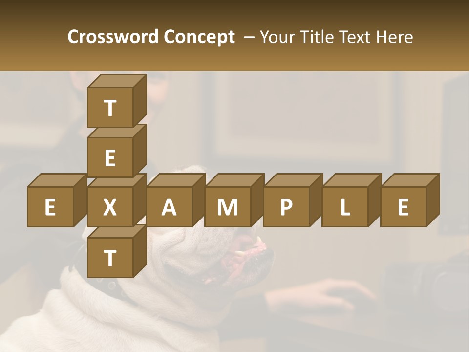 Pet Business Portrait PowerPoint Template