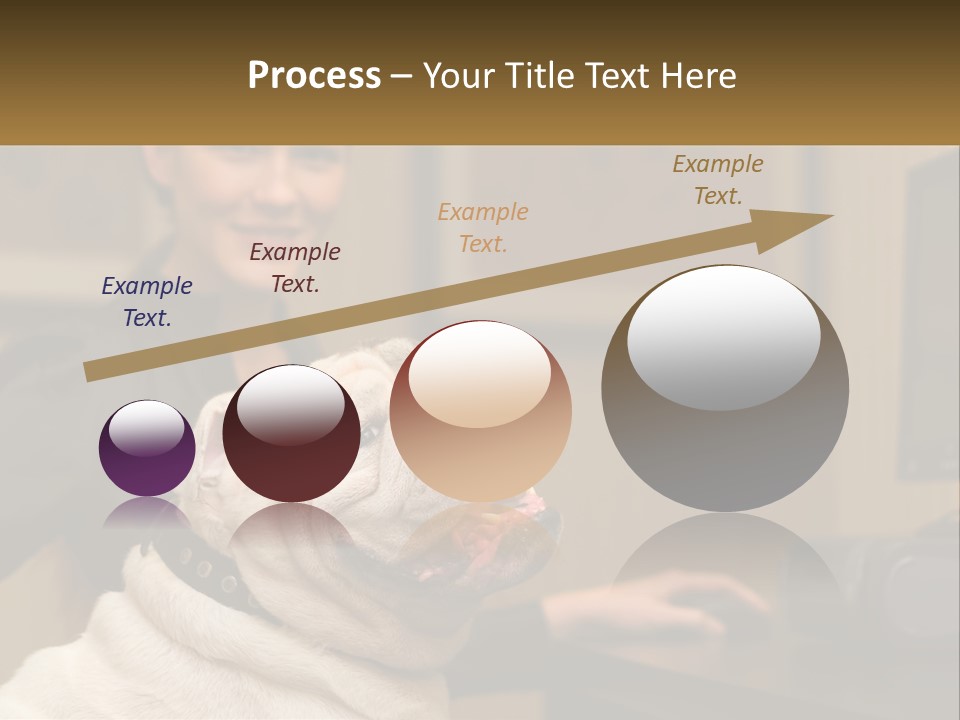 Pet Business Portrait PowerPoint Template