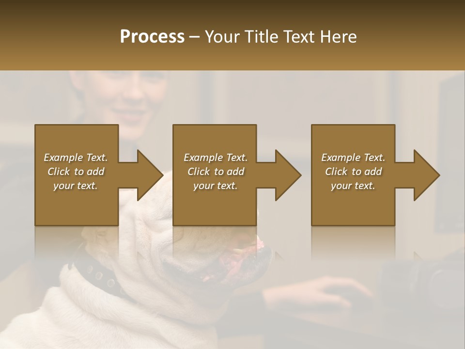 Pet Business Portrait PowerPoint Template