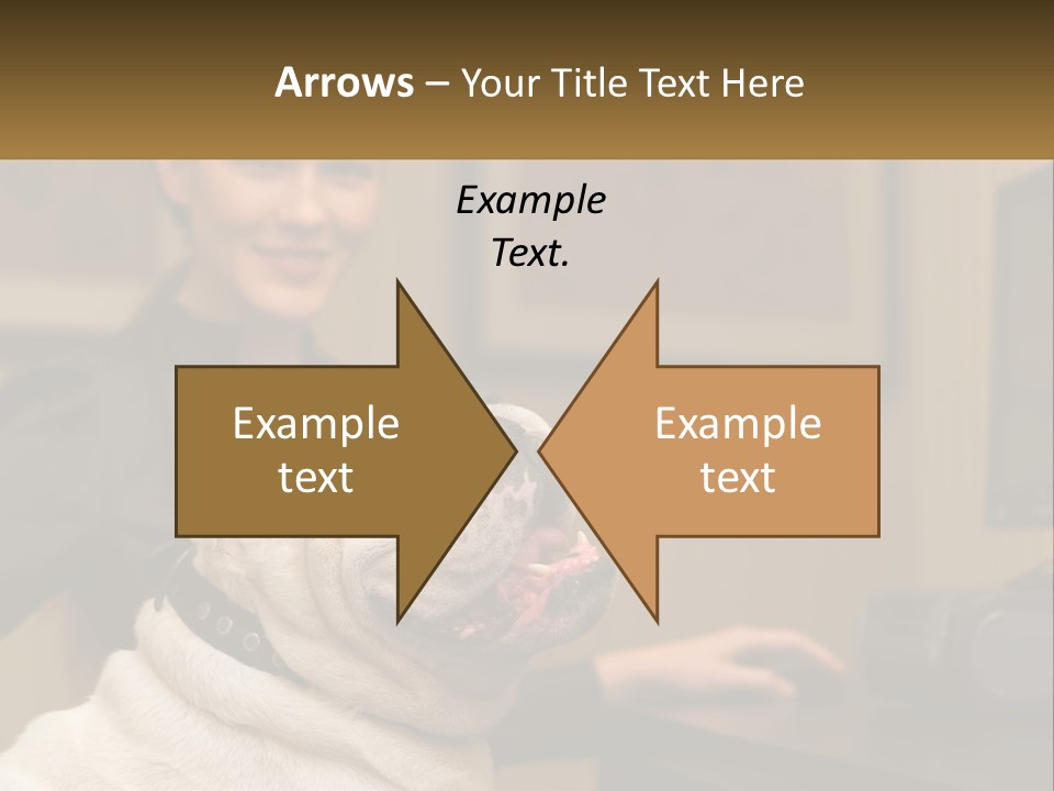 Pet Business Portrait PowerPoint Template