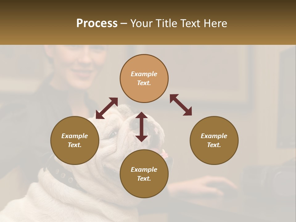 Pet Business Portrait PowerPoint Template