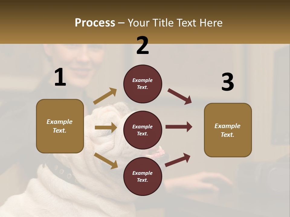 Pet Business Portrait PowerPoint Template