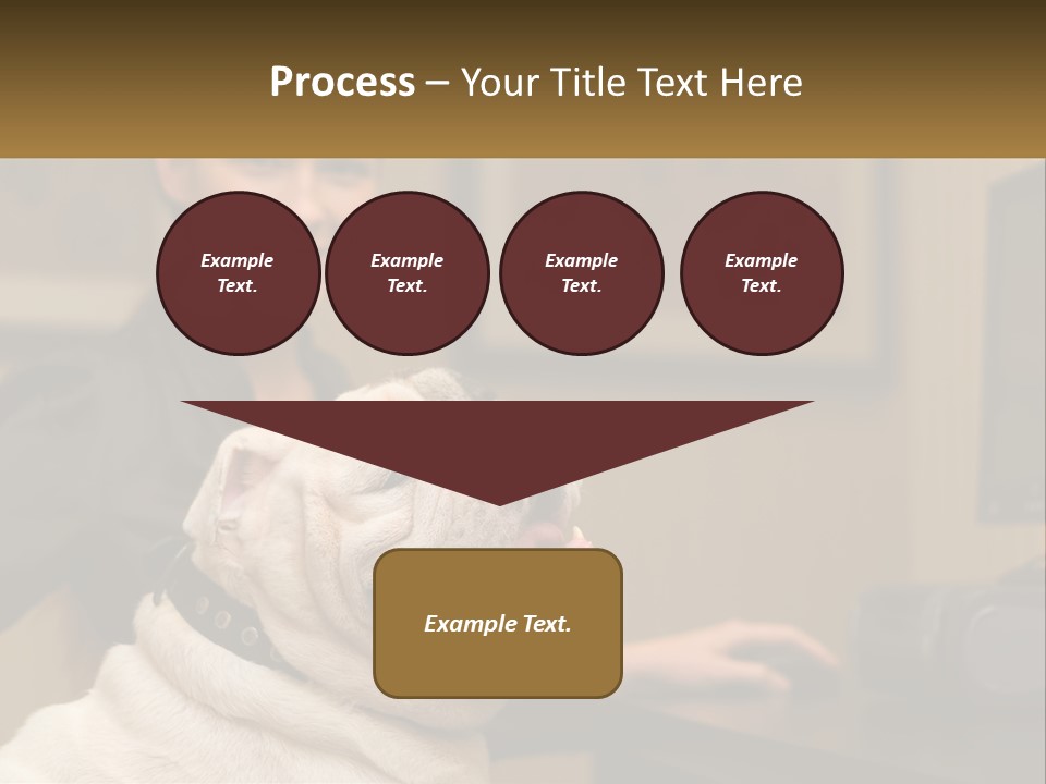 Pet Business Portrait PowerPoint Template