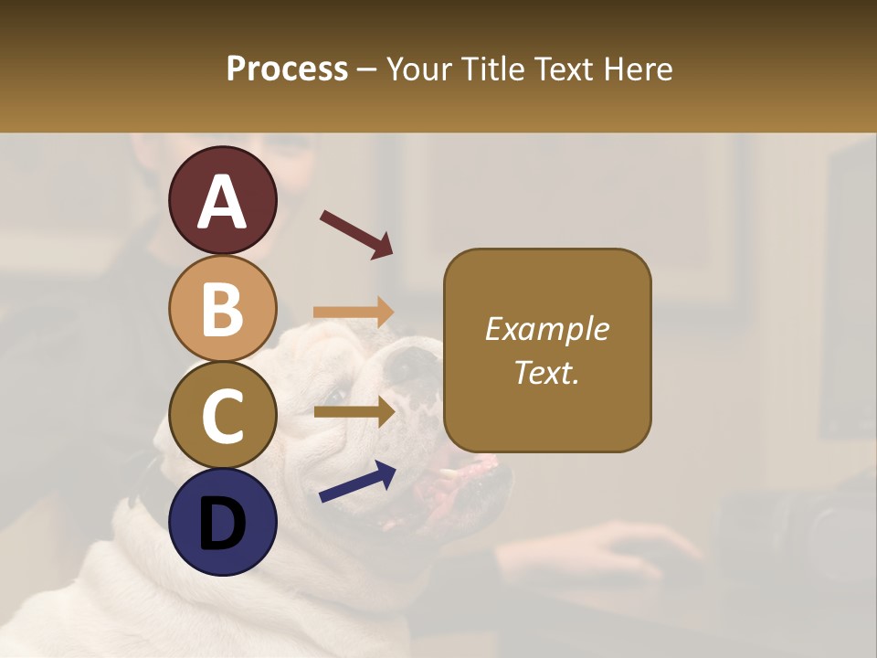 Pet Business Portrait PowerPoint Template