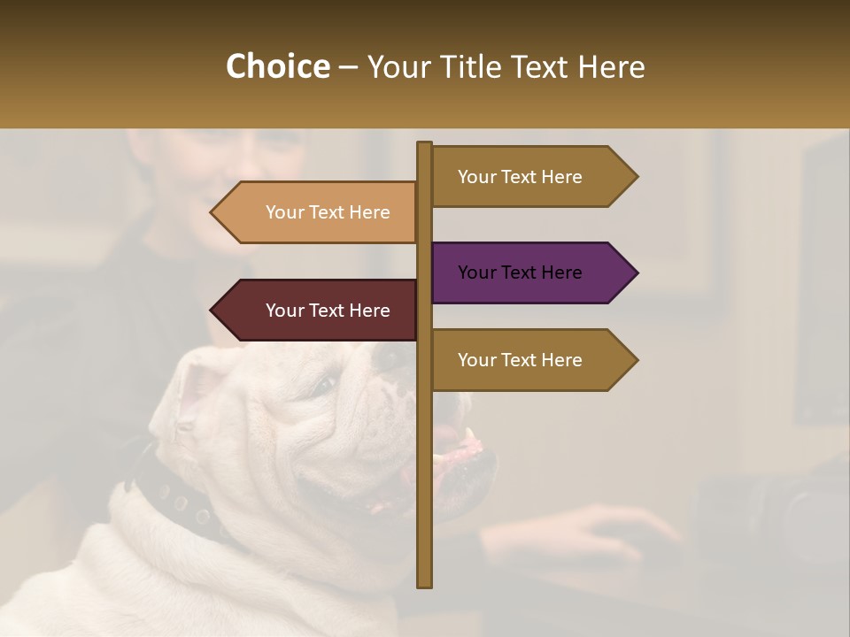 Pet Business Portrait PowerPoint Template