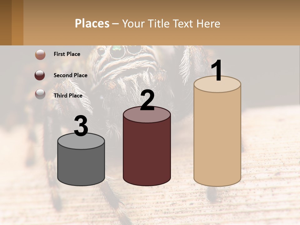 Nature Relations Fly PowerPoint Template