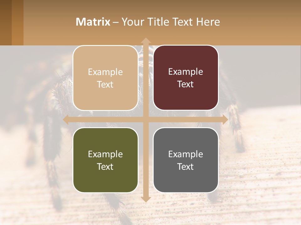 Nature Relations Fly PowerPoint Template