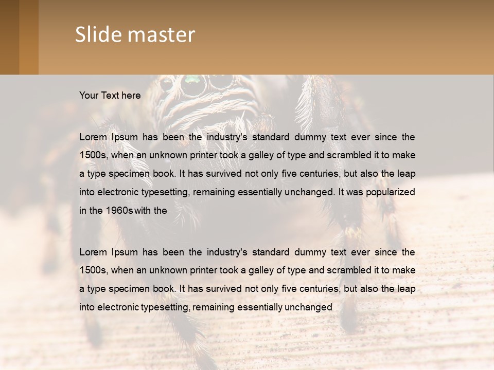 Nature Relations Fly PowerPoint Template