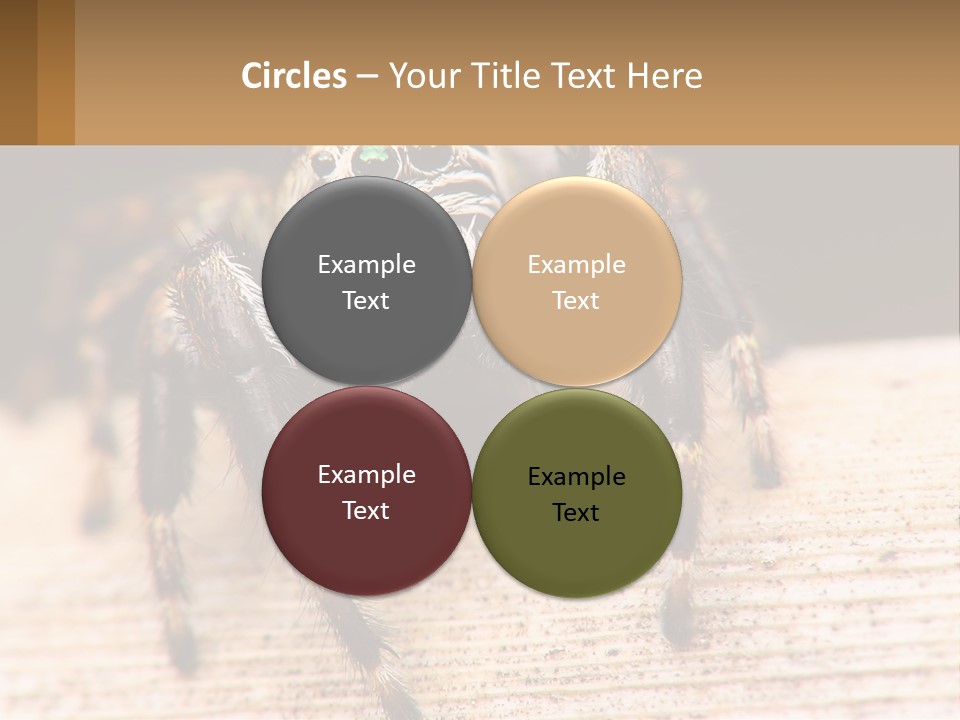 Nature Relations Fly PowerPoint Template