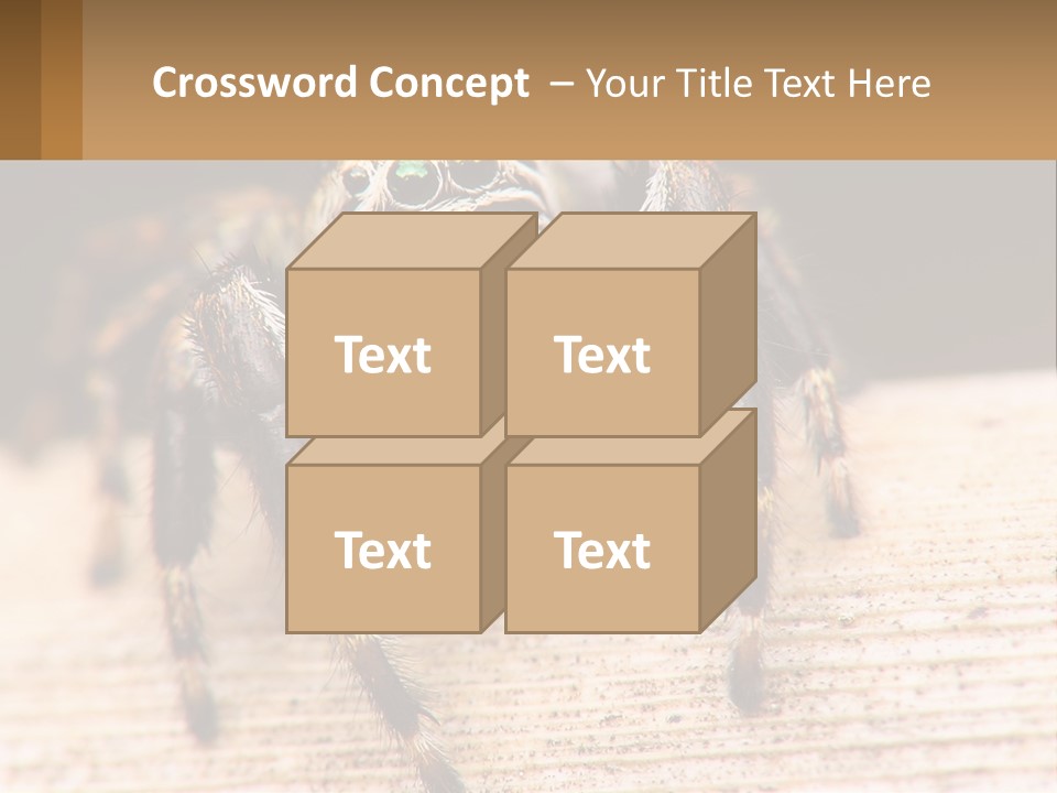 Nature Relations Fly PowerPoint Template