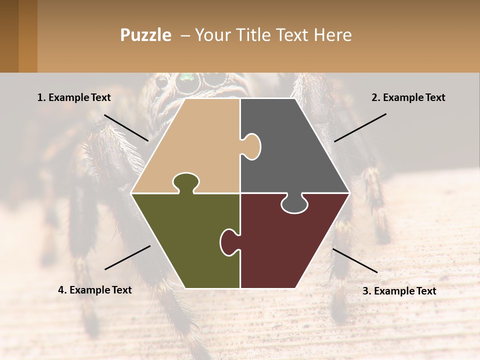 Nature Relations Fly PowerPoint Template