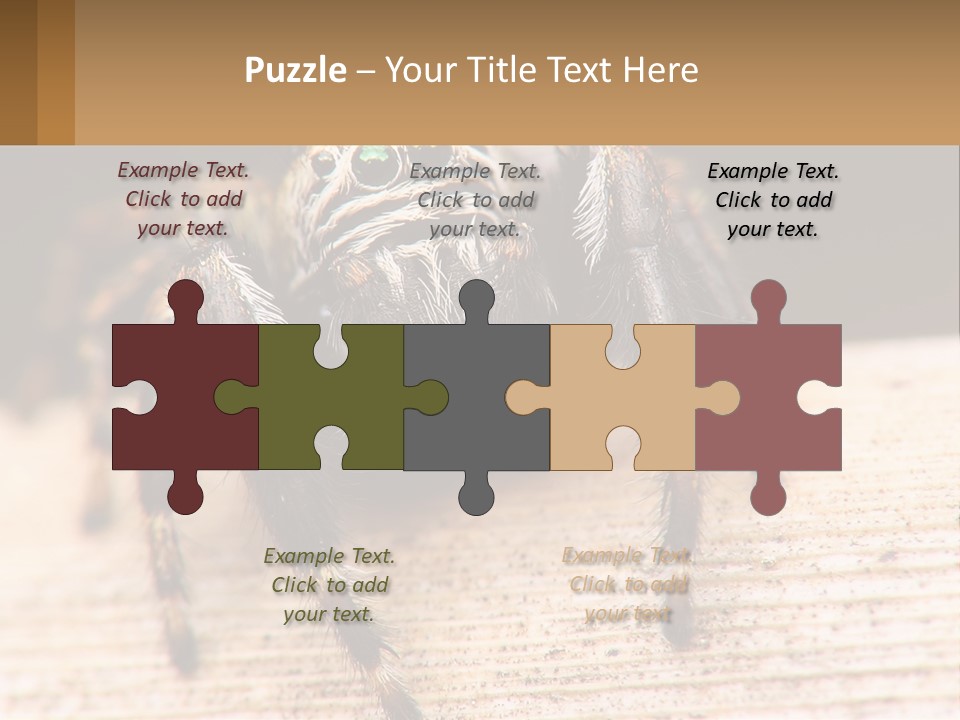 Nature Relations Fly PowerPoint Template