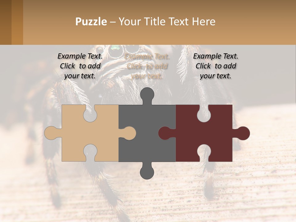 Nature Relations Fly PowerPoint Template