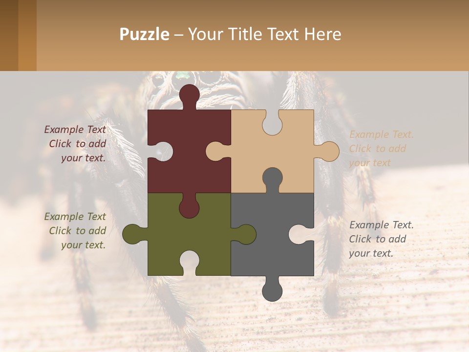 Nature Relations Fly PowerPoint Template