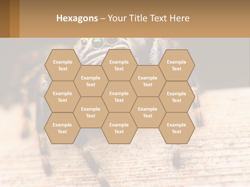 Nature Relations Fly PowerPoint Template