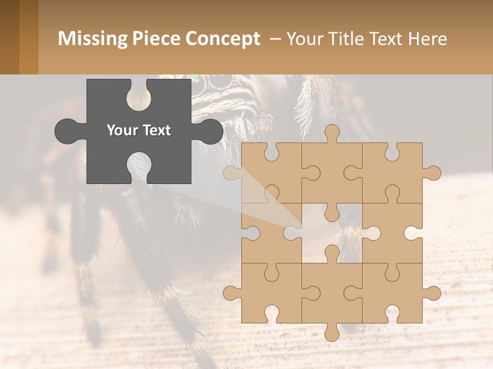 Nature Relations Fly PowerPoint Template