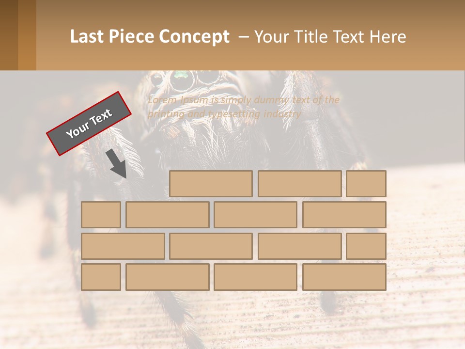 Nature Relations Fly PowerPoint Template
