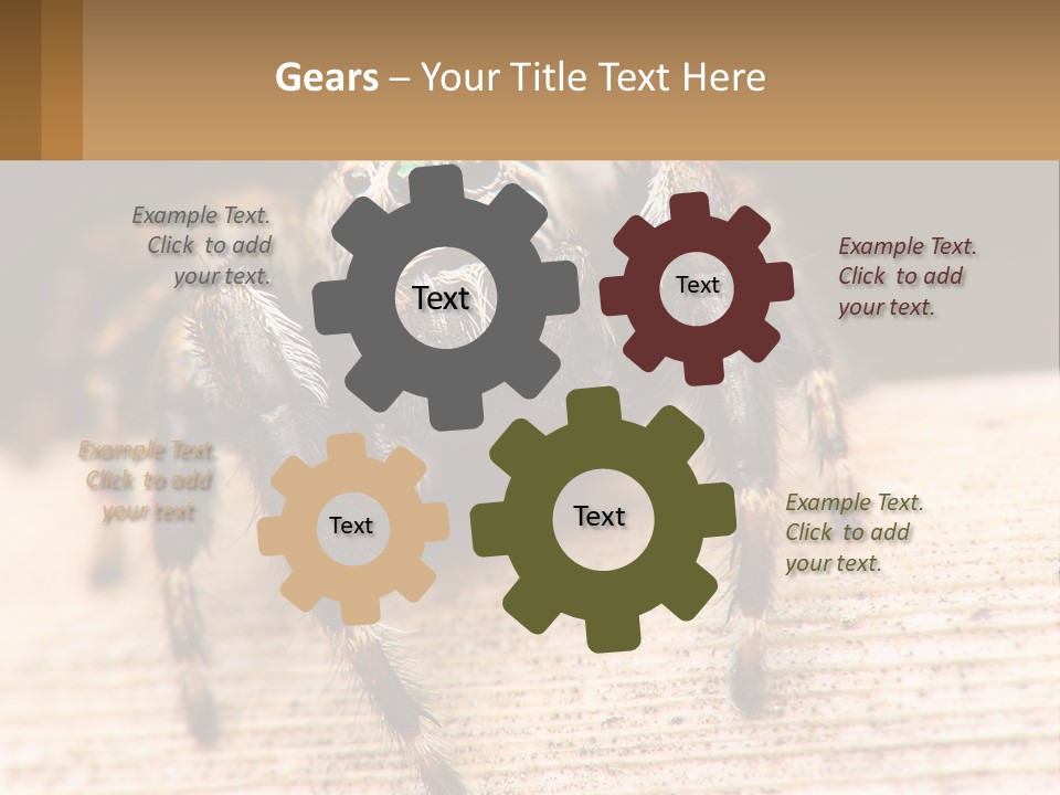 Nature Relations Fly PowerPoint Template