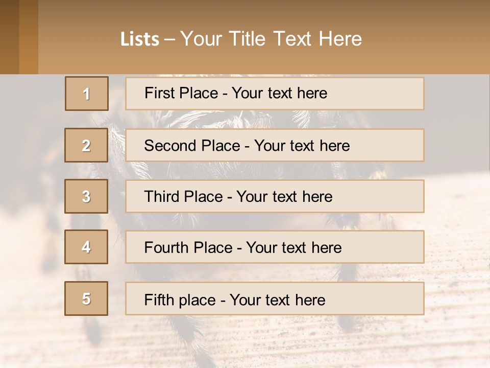 Nature Relations Fly PowerPoint Template