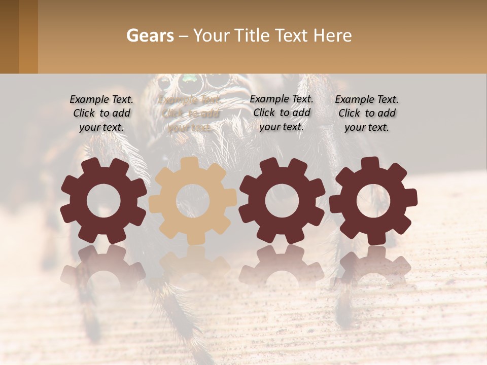 Nature Relations Fly PowerPoint Template