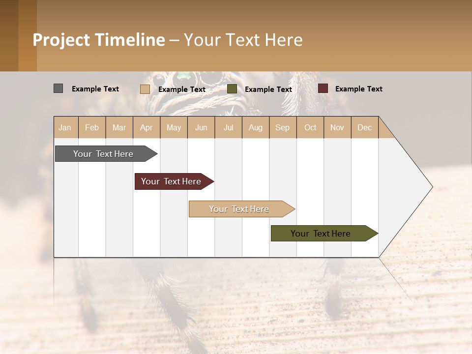 Nature Relations Fly PowerPoint Template