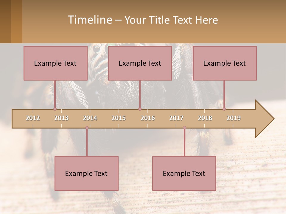 Nature Relations Fly PowerPoint Template