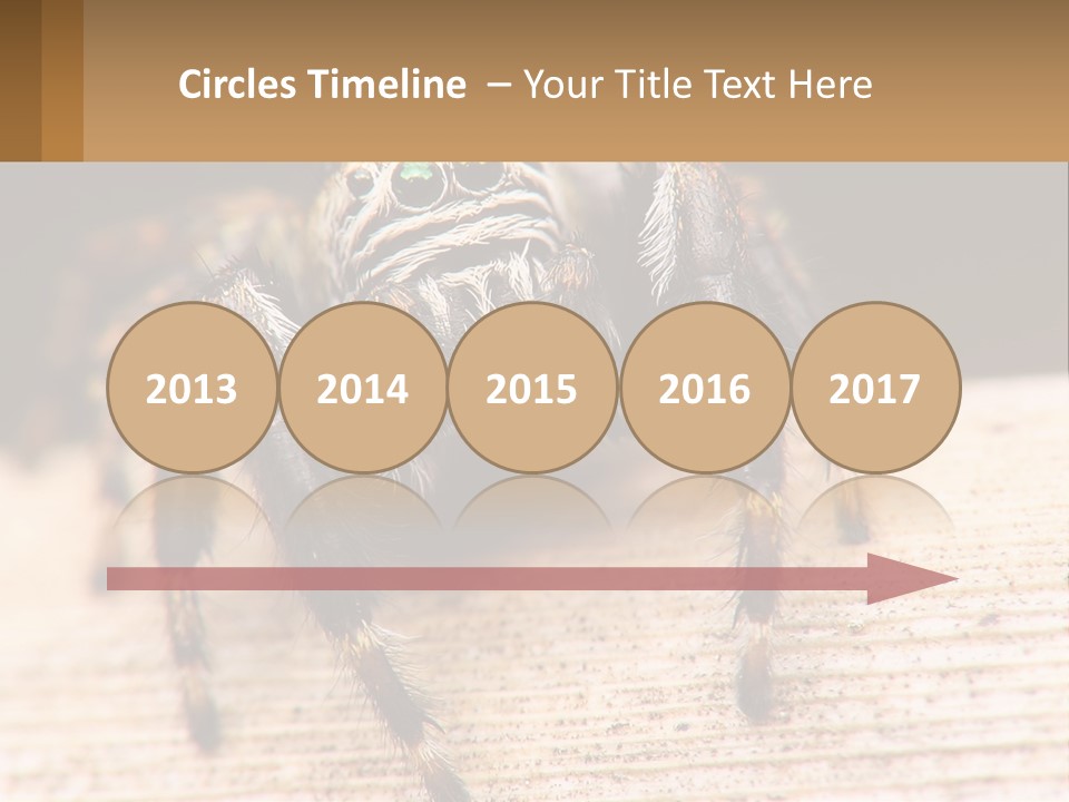 Nature Relations Fly PowerPoint Template