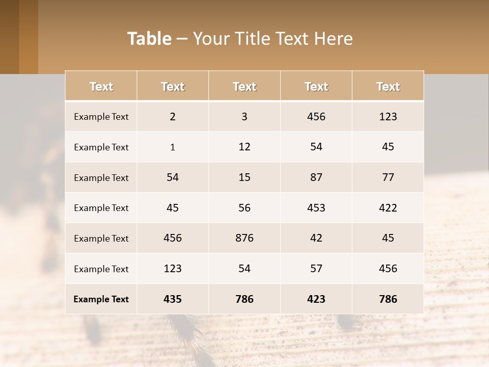 Nature Relations Fly PowerPoint Template