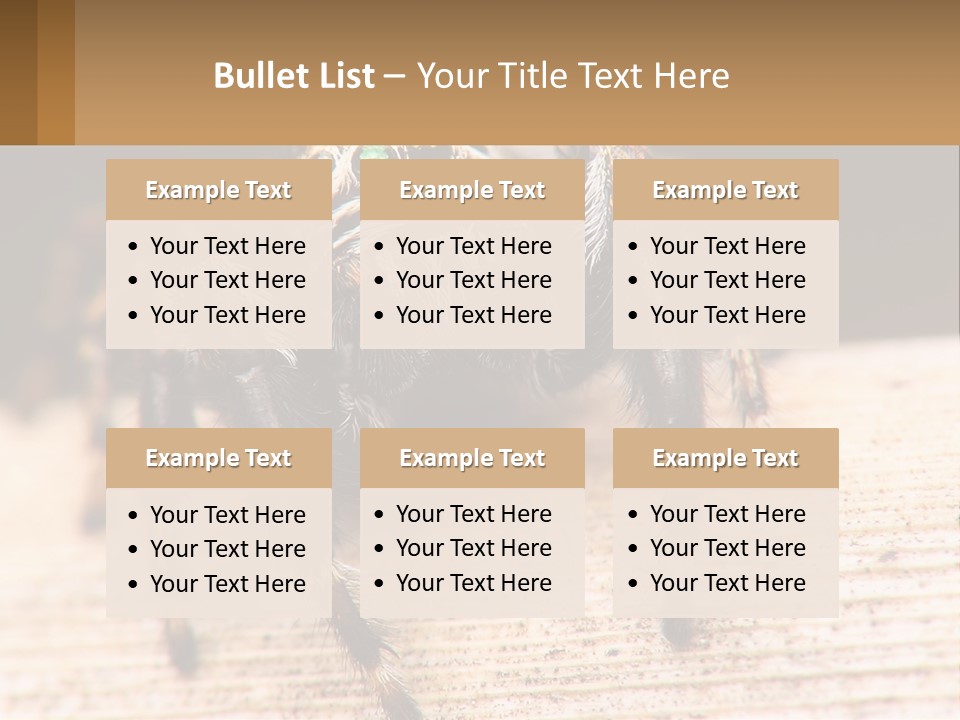 Nature Relations Fly PowerPoint Template